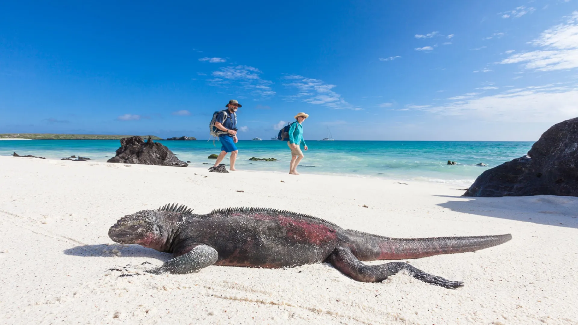 galapagos-islands