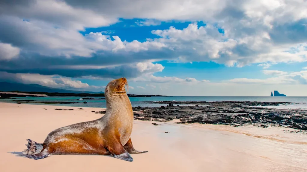 Isla Bartolomé-Galapagos-Ecuador